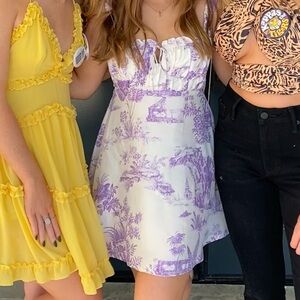 Purple Toile dress